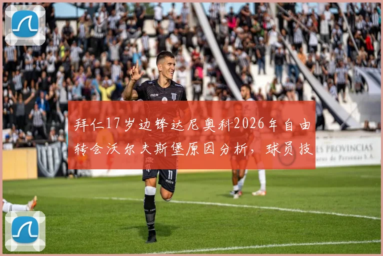 拜仁17岁边锋达尼奥科2026年自由转会沃尔夫斯堡原因分析,球员技术特点与对两队影响深度解读