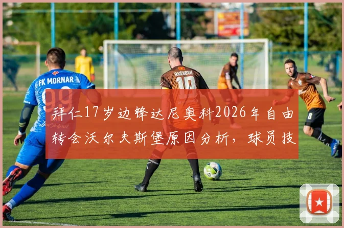 拜仁17岁边锋达尼奥科2026年自由转会沃尔夫斯堡原因分析，球员技术特点与对两队影响深度解读